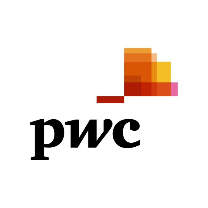 Online Course on Data Analysis and Presentation Skills: The PwC Approach