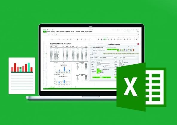 The Ultimate Excel Programmer Course for health economists